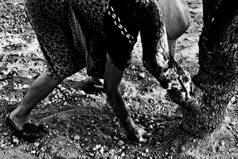 fistiki_fest_photo_exhibition_16 fistiki_fest_photo_exhibition_16