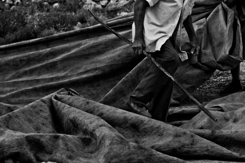 fistiki_fest_photo_exhibition_3 fistiki_fest_photo_exhibition_3