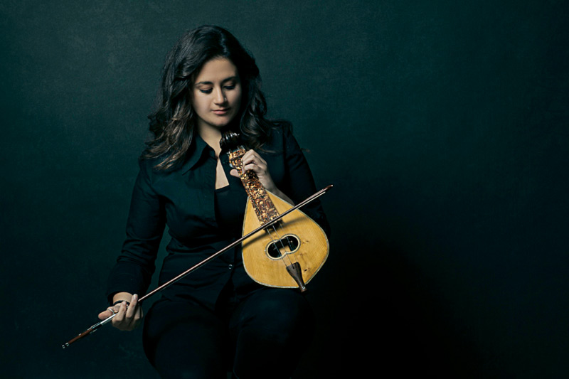 Ένα Πορτραίτο για την Ελληνική Κρητική Λύρα