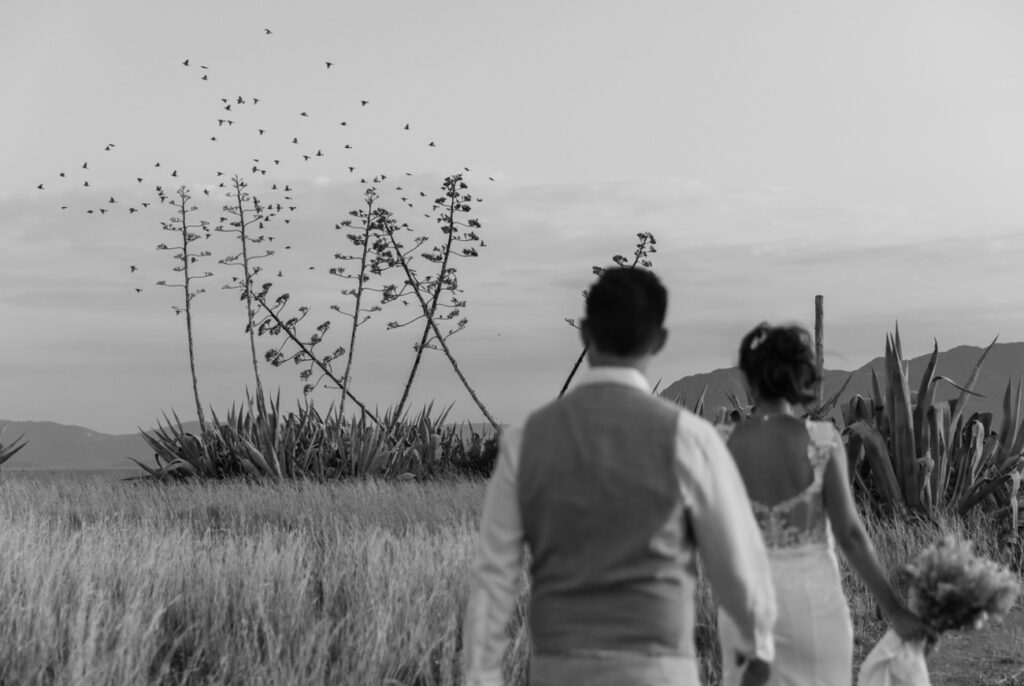 Maria_Vasilis_Wedding_photography_aegina_greece_